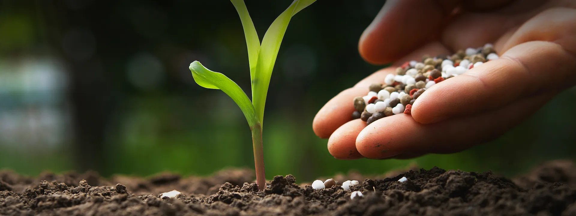 <br />
<b>Warning</b>:  Undefined variable $page_banner in <b>/www/wwwroot/lvfertilizer.com/wp-content/themes/hyhadmin/category.php</b> on line <b>12</b><br />
<br />
<b>Warning</b>:  Trying to access array offset on value of type null in <b>/www/wwwroot/lvfertilizer.com/wp-content/themes/hyhadmin/category.php</b> on line <b>12</b><br />
