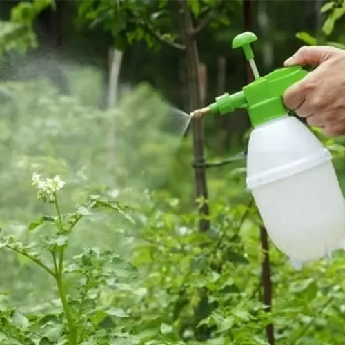 foliar spraying