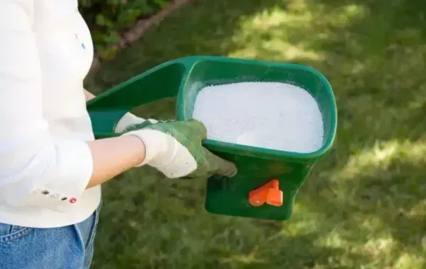 How to check if you applied fertilizer correctly