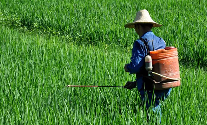 Spraying of water-soluble fertilizers