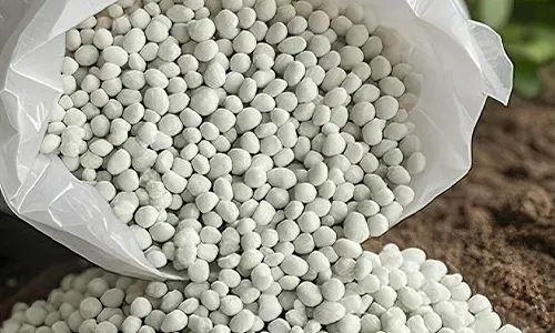 NPK 20-20-20 + TE for High-Value Crops