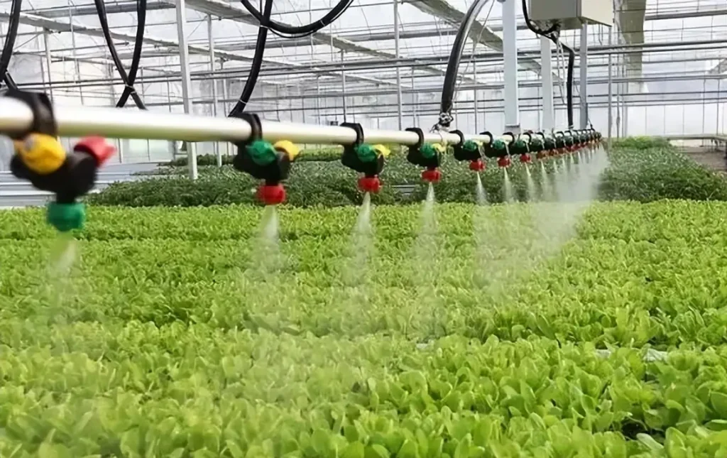 Greenhouse and fertigation