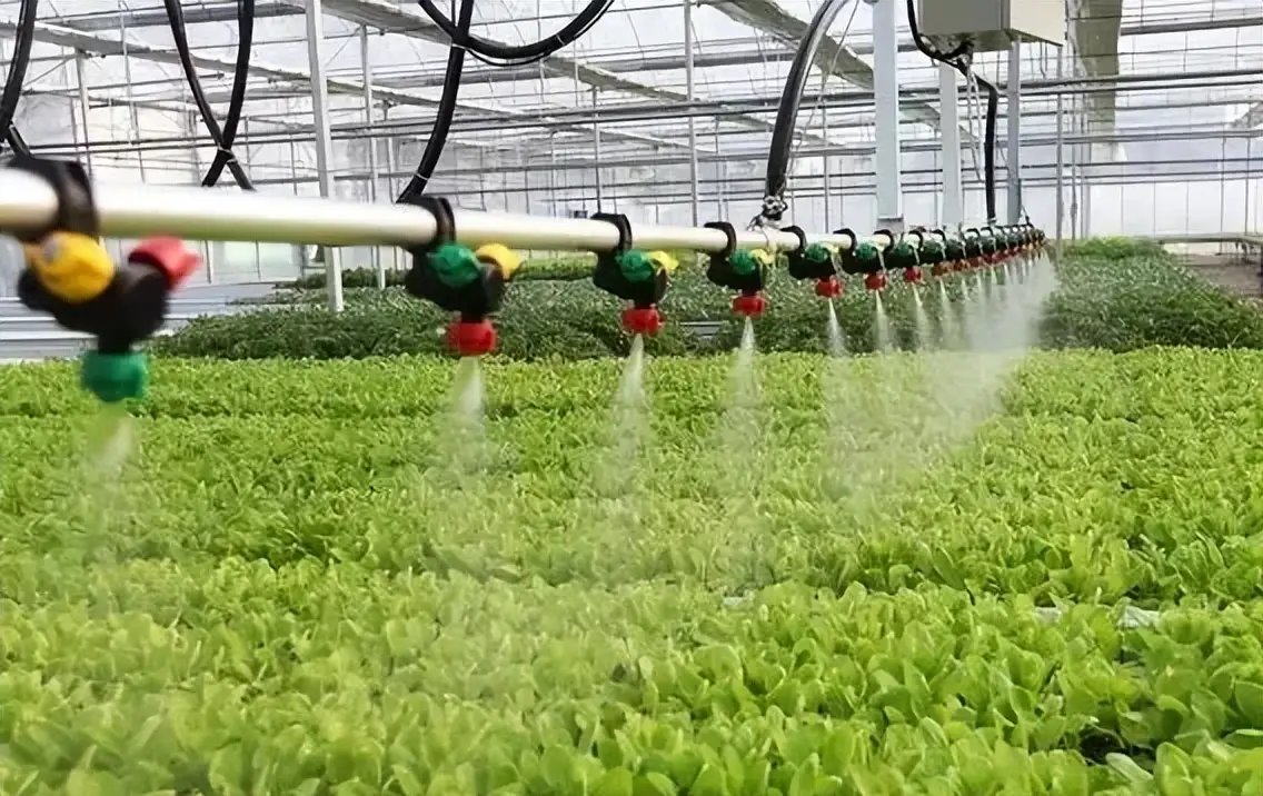 Greenhouse and fertigation