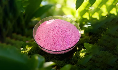 Application of NPK 19-19-19 in intensive vegetable production