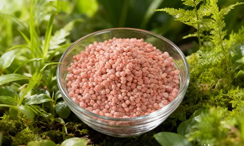 NPK 19-19-19 fertilizer granules