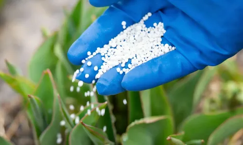 Choosing the Right Fertilizer Partner