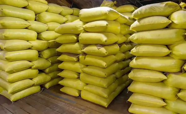 NPK 20-20-20 Fertilizer Price What Affects Cost and How We Quote