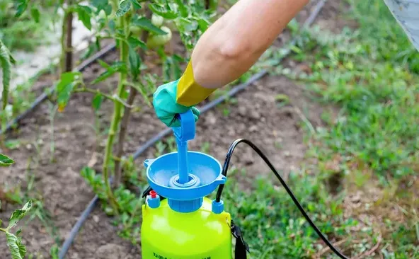 What are water-soluble fertilizers